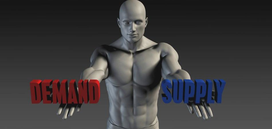 Featured image for “Systems before basics to achieve Agile supply chains?”