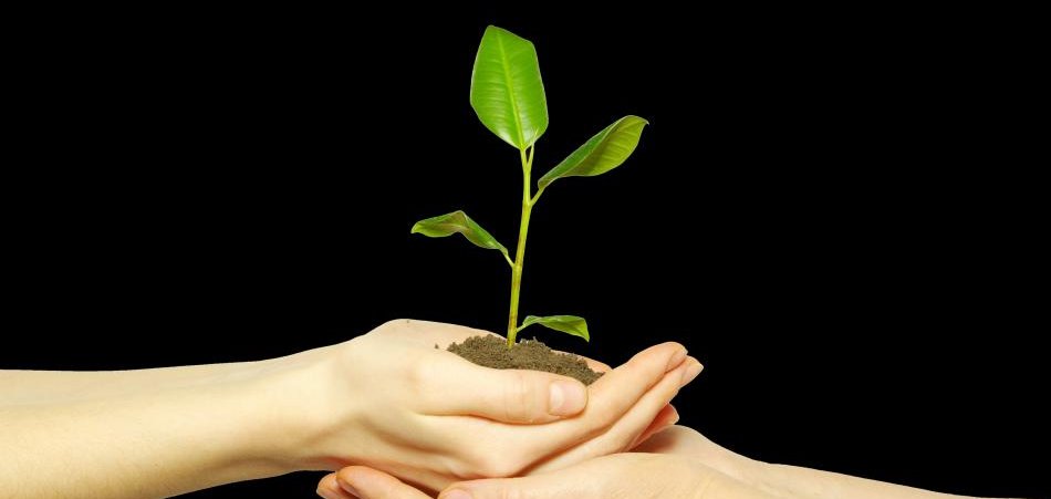 Featured image for “Implement Sustainability in your Supply Chains group”