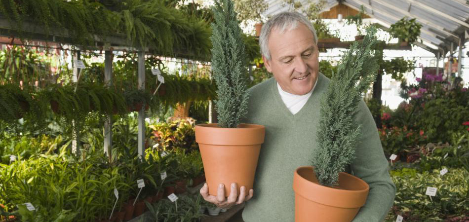 Featured image for “Value is supplied by an organisation’s Supply Chains”