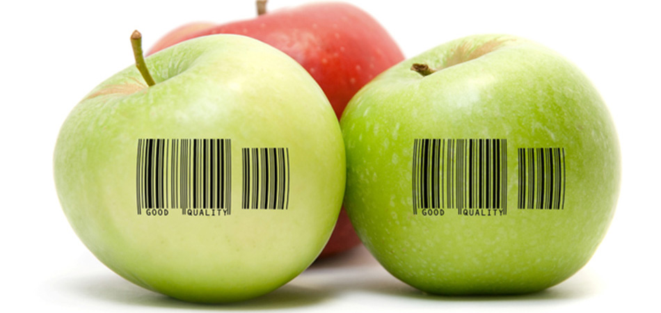 Featured image for “Build trust in the analysis output of Supply Chain data”