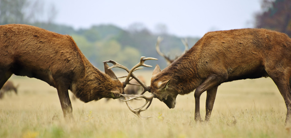 Featured image for “Supply Chains group should prioritise the S&OP process”